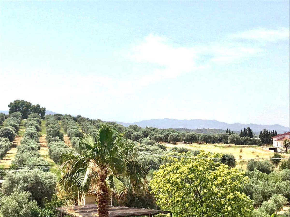 Casa Vacanze E Fitta Camere San Nico コリリアーノ・カーラブロ エクステリア 写真